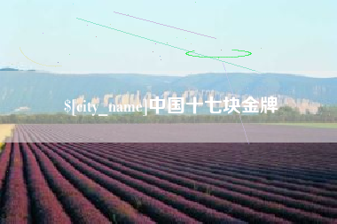 宜阳中国十七块金牌