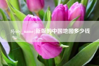 宜阳新版的中国地图多少钱
