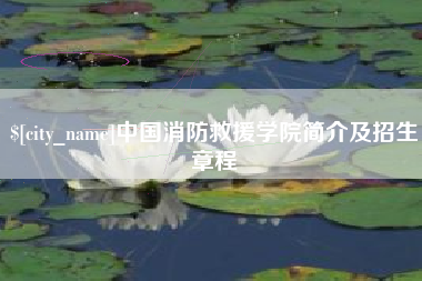 宜阳中国消防救援学院简介及招生章程