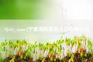 宜阳宁夏消防报名入口官网公告