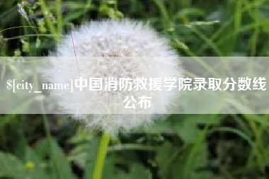 宜阳中国消防救援学院录取分数线公布