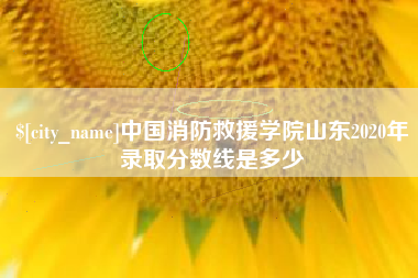 宜阳中国消防救援学院山东2020年录取分数线是多少