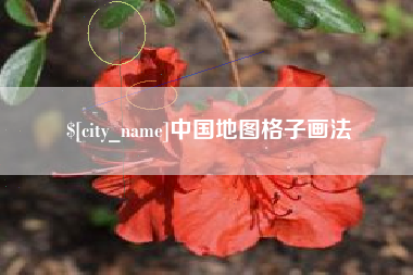 宜阳中国地图格子画法
