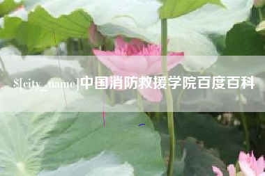 宜阳中国消防救援学院百度百科