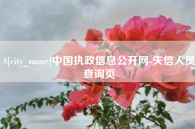 宜阳中国执政信息公开网-失信人员查询页