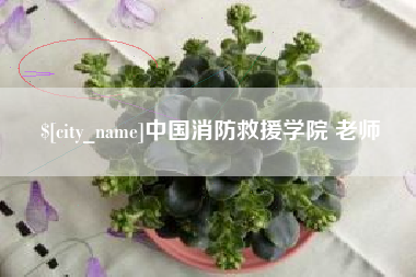 宜阳中国消防救援学院 老师