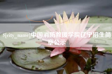 宜阳中国消防救援学院辽宁招生简章公示