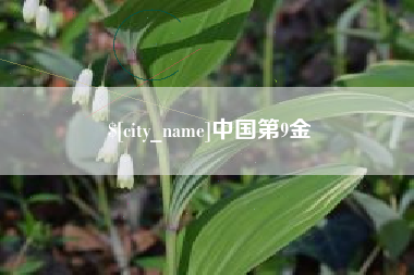 宜阳中国第9金