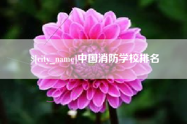宜阳中国消防学校排名