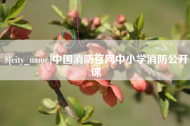 宜阳中国消防官网中小学消防公开课
