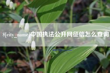 宜阳中国执法公开网征信怎么查询