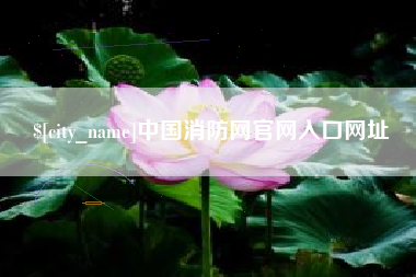 宜阳中国消防网官网入口网址