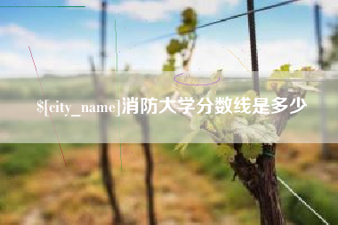 宜阳消防大学分数线是多少