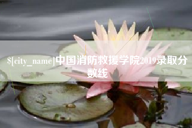 宜阳中国消防救援学院2019录取分数线
