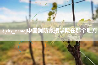 宜阳中国消防救援学院在那个地方
