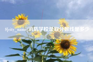 宜阳消防学校录取分数线是多少