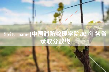 宜阳中国消防救援学院2020年各省录取分数线