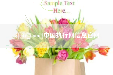 宜阳中国执行网信息官网