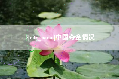 宜阳中国夺金情况