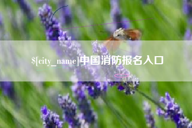 宜阳中国消防报名入口