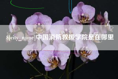 宜阳中国消防救援学院是在哪里