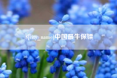 宜阳中国最牛保镖