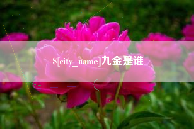 宜阳九金是谁