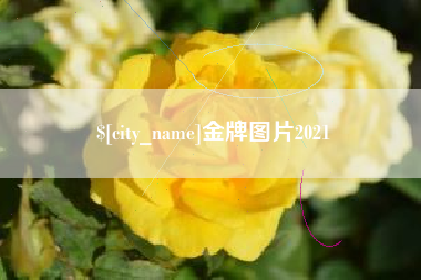 宜阳金牌图片2021