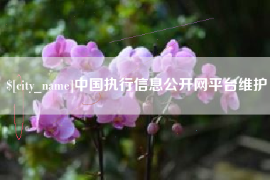 宜阳中国执行信息公开网平台维护