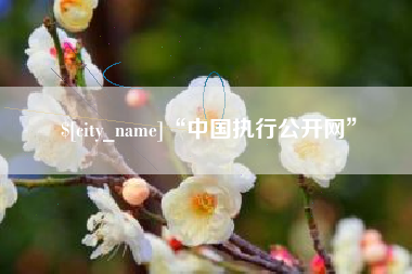 宜阳“中国执行公开网”