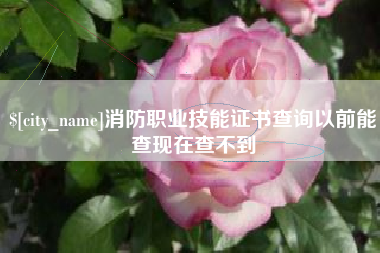 宜阳消防职业技能证书查询以前能查现在查不到