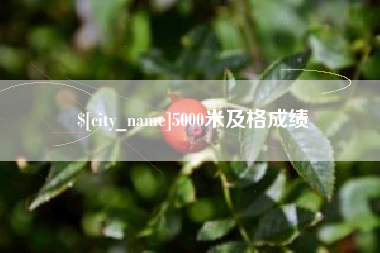 宜阳5000米及格成绩