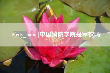 宜阳中国消防学院是军校吗