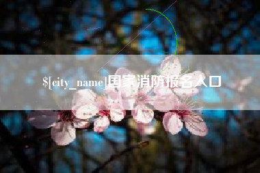 宜阳国家消防报名入口