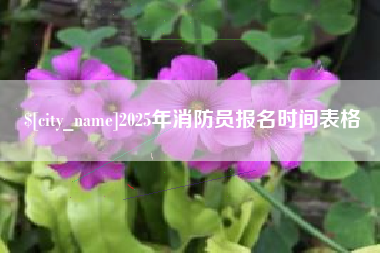 宜阳2025年消防员报名时间表格