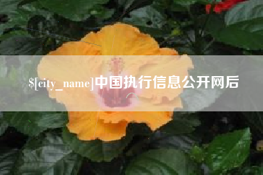 宜阳中国执行信息公开网后