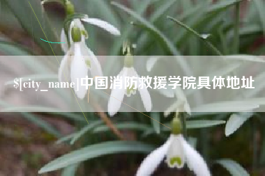 宜阳中国消防救援学院具体地址