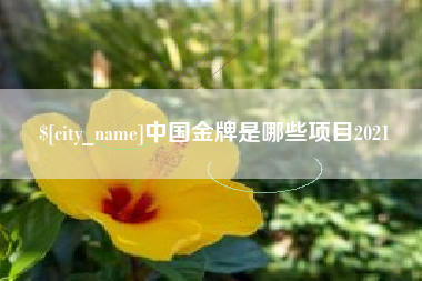 宜阳中国金牌是哪些项目2021