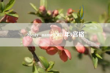 宜阳2021年9宫格