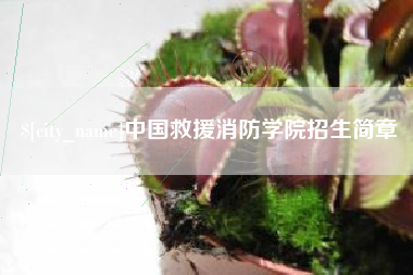宜阳中国救援消防学院招生简章