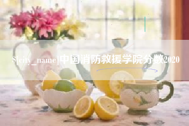 宜阳中国消防救援学院分数2020