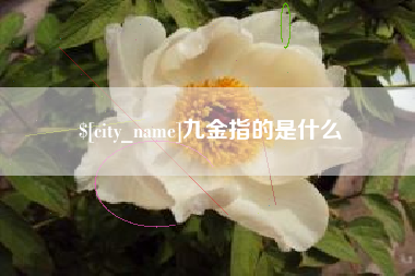 宜阳九金指的是什么