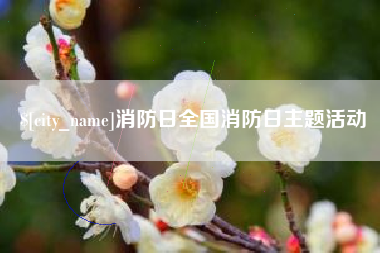 宜阳消防日全国消防日主题活动