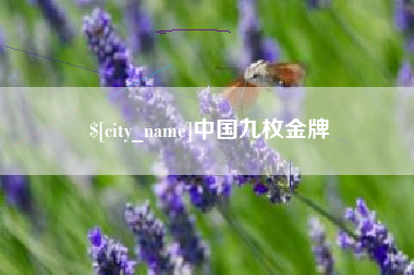 宜阳中国九枚金牌