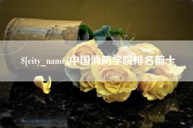 宜阳中国消防学院排名前十