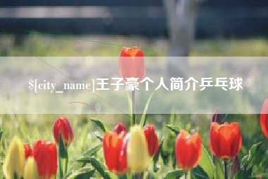 宜阳王子豪个人简介乒乓球