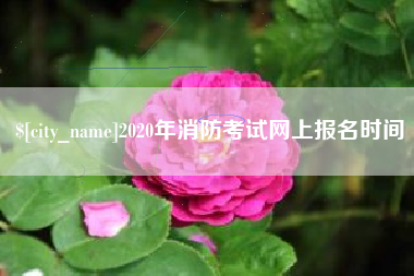 宜阳2020年消防考试网上报名时间