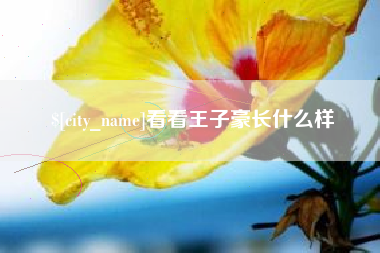 宜阳看看王子豪长什么样