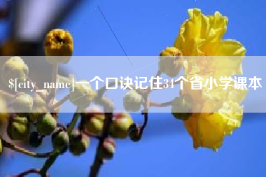 宜阳一个口诀记住34个省小学课本