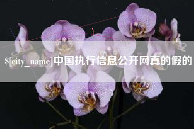 宜阳中国执行信息公开网真的假的